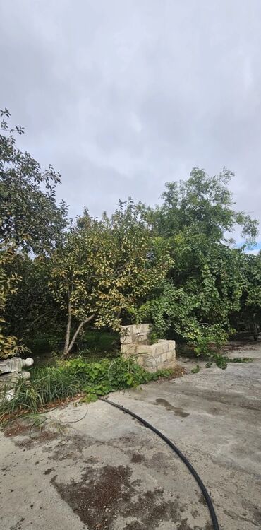 Həyət evləri və villaların satışı: 3 otaqlı, 1500 kv. m, Kredit yoxdur, Orta təmir — 11