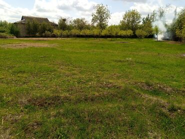 Torpaq sahələrinin satışı: 45 sot, Kənd təsərrüfatı, Mülkiyyətçi, Kupça (Çıxarış) -da lalafo.az — 4 Torpaq sahələrinin satışı: 45 sot, Kənd təsərrüfatı, Mülkiyyətçi, Kupça (Çıxarış) — 4