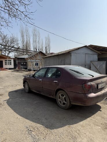 Nissan: Nissan Primera: 2002 г., 1.6 л, Механика, Бензин, Хэтчбэк