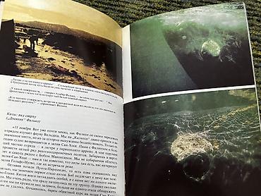 Саморазвитие и психология: 1) Книга «Экономика для Школьников». Обучающая литература. Авторы — 19