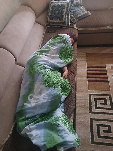 одеяло: Покрывало/плед с принтом «лебеди и зелёные кроны» - Лёгкий, мягкий — 1