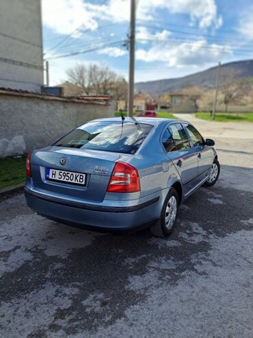 Μεταχειρισμένα Αυτοκίνητα: Skoda Octavia: 1.9 l. | 2007 έ. | 318000 km. Λιμουζίνα