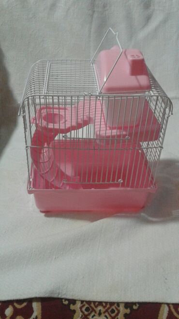 Qəfəslər: Xamyak ucun Qefes satilir qiyməti 25 azn bashqa qefeslerde var -da lalafo.az — 27 Qəfəslər: Xamyak ucun Qefes satilir qiyməti 25 azn bashqa qefeslerde var — 27