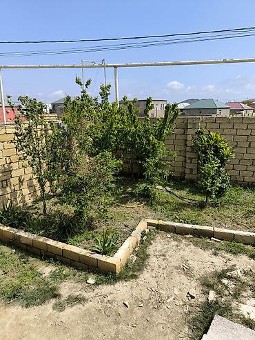 Qonaq otağı dəstləri: Divan — 11