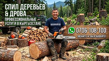 резчик по дереву: Услуги: спил деревьев и заготовка дров. - Профессиональный спил — 1