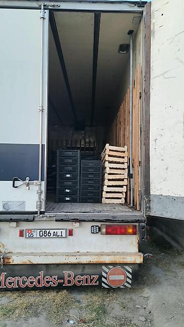 машиа: Продаю Рефрижераторный грузовик Mercedes-Benz Atego 1224 с — 5