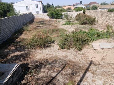 agdas torpaq: 707853505 sot, Makler, Kupça (Çıxarış)