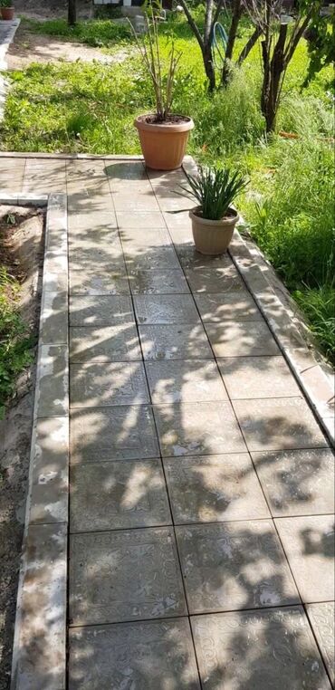 Другие услуги: Зоостиница Гостиница для собак Платная передержка Вам срочно — 5