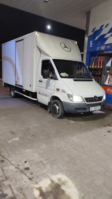 овощная полка для магазина: Бус, Көчүү, эмеректерди көчүрүү, Шаар ичинде, жүк ташуучу жумушчусу менен