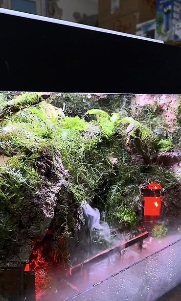 Akvarium aksesuar və ləvazimatları: Terrarium/Vivarium dekorativ sistem – duman generatoru və LED — 6