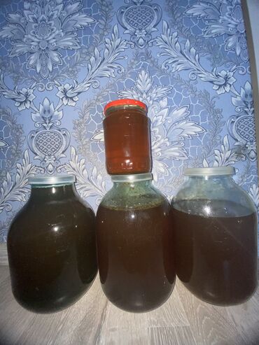 культура тибета чай купить в баку: Gürcüstan balıdır, Meşədə yetişdirilib təbiidir. Sadəcə metrolara lalafo.az -da культура тибета чай купить в баку: Gürcüstan balıdır, Meşədə yetişdirilib təbiidir. Sadəcə metrolara