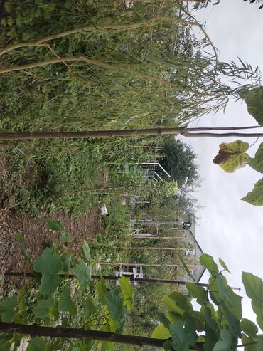 Həyət evləri və villaların satışı: 1 otaqlı, 36 kv. m, Yeni təmirli — 29