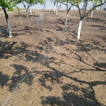 Suvarma sistemləri: Suvarma sistemlərinin ağıllı sistemlə wifi və ya avtomatik idarəetmə — 7