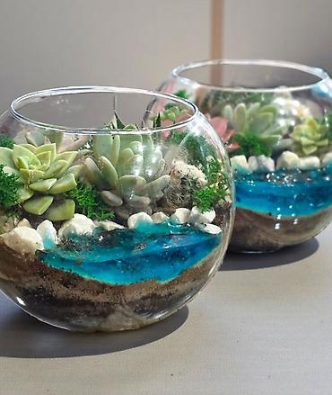 Bitkilər üçün dibçəklər: Şüşə akvarium formalı terrarium kompozisiyaları - Şəffaf şüşə qabda — 5
