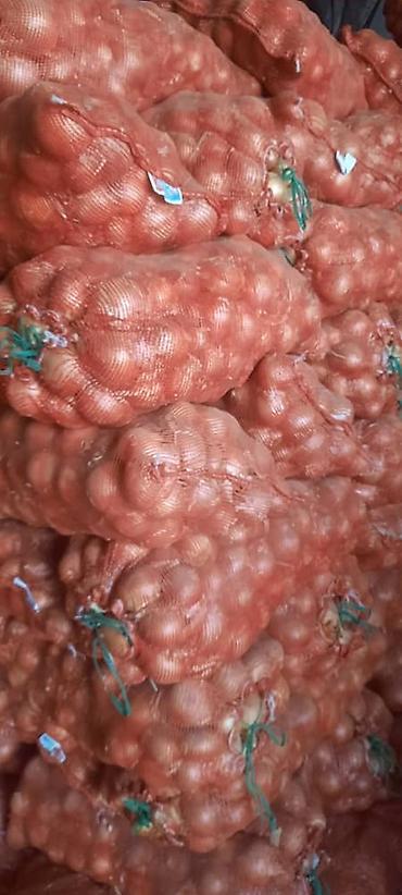 Промышленные холодильники и комплектующие: Сдаются в аренду холодильники промышленные для сельскохозяйственных — 6