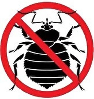 Дезинфекция, дезинсекция: Дезинфекция, дезинсекция, | Клопы, Блохи, Тараканы, | Транспорт, Офисы, Квартиры — 9