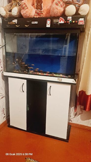 Akvariumlar: Akvarium-şkaf Akvarium, Balıqlarla birlikdə, 110 l, Pulsuz çatdırılma