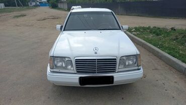 Mercedes-Benz: Mercedes-Benz W124: 1995 г., 2.2 л, Механика, Бензин, Седан