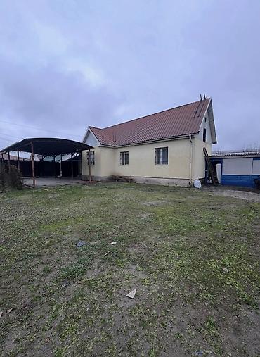 Продажа коттеджей и домов: Район:Пригородный ж/м Умут Продается 3-комн. дом Со всеми условиями at lalafo.kg — 5 Продажа коттеджей и домов: Район:Пригородный ж/м Умут Продается 3-комн. дом Со всеми условиями — 5