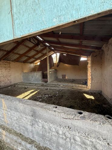 Продажа домов: Дом, 95 м², 4 комнаты — 13