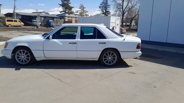 Mercedes-Benz: Mercedes-Benz E-Class: 1993 г., 2.2 л, Механика, Бензин