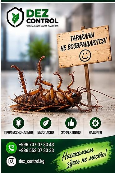 Дезинфекция, дезинсекция, | Тараканы, | Квартиры