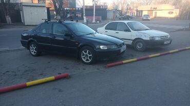 хонда одиссей апсалют: Honda Accord: 1999 г., 2 л, Автомат, Газ, Седан