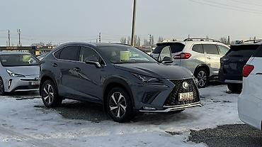 Lexus: Lexus NX: 2019 г., 2 л, Автомат, Бензин, Кроссовер — 2