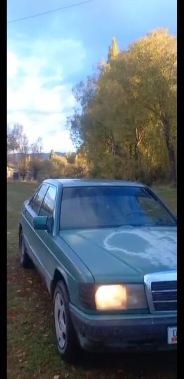 Mercedes-Benz: Mercedes-Benz 190: 1991 г., 1.9 л, Механика, Бензин — 1