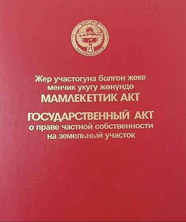 300 000: 4 соток, Красная книга — 1