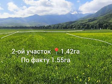 Земельные участки: 268 соток, Для сельского хозяйства, Договор долевого участия — 6