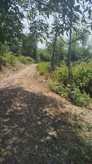 Torpaq sahələrinin satışı: Tikinti, Mülkiyyətçi, Kupça (Çıxarış) — 8