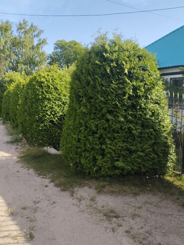 Продажа домов: Дом, 80 м², 4 комнаты, Собственник, Косметический ремонт