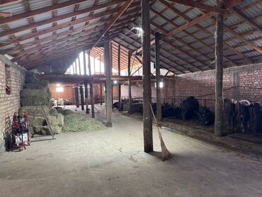 Сельхоз предприятия: Продаю Кошара, 7 соток, Действующий, Электричество — 6