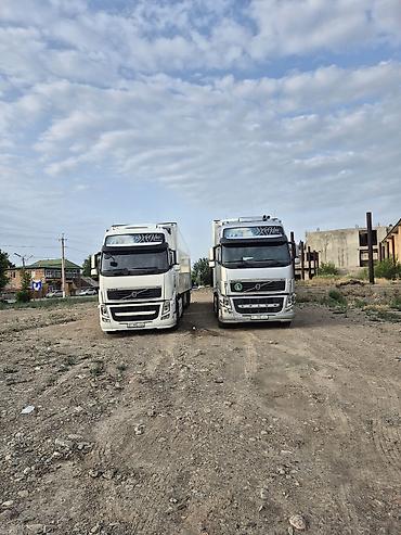 Тягачи: Тягач, Volvo, 2013 г., Холодильник, рефрижератор — 16