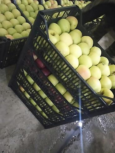 Ящики: Пластиковый Ящик — 27