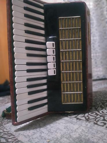 Аккордеоны: Аккордеон «Россий» (надпись на корпусе), красно-коричневый — 7