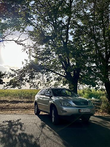 Lexus: Lexus RX: 2004 г., 3 л, Автомат, Бензин, Кроссовер — 1