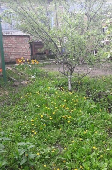 Продажа домов: Дача, 70 м², 4 комнаты, Агентство недвижимости — 14