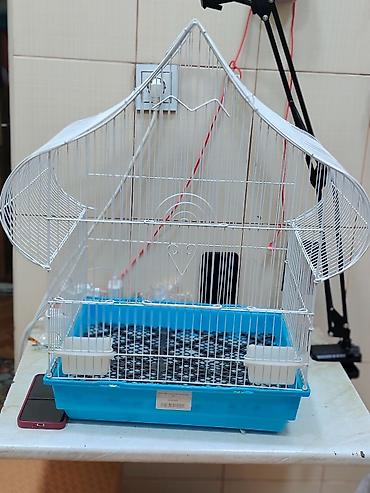 qəfəs quşları: Quş qəfəsi – dekorativ dam örtüklü, geniş və rahat model - Material — 1