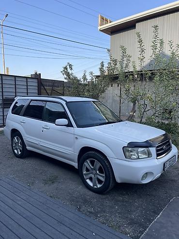 форестер 2005: Subaru Forester: 2004 г., 2 л, Автомат, Бензин, Кроссовер — 2