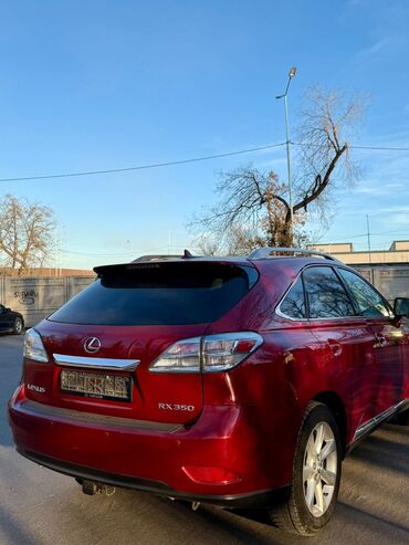 Lexus: Lexus RX: 2010 г., 3.5 л, Бензин, Кроссовер — 5