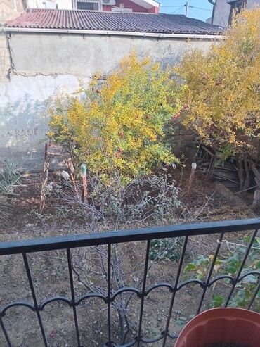 Uzunmüddətli kirayə mənzillər: Kupcali,heyetinde iki otaqli ev kirayeye yararli(sanitar qovsaq ayri) — 17