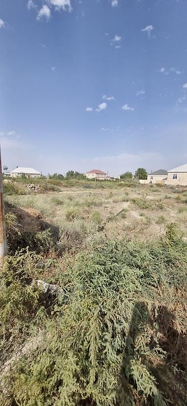Torpaq sahələrinin satışı: Tikinti -da lalafo.az — 4 Torpaq sahələrinin satışı: Tikinti — 4