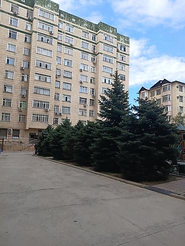 ещё квартиру: 4 комнаты, 110 м², Элитка, 7 этаж, Евроремонт — 9