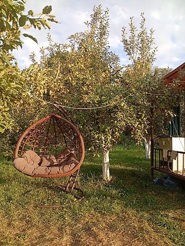стулья и пуфик: Продаётся качеля. находится в күн туу — 1