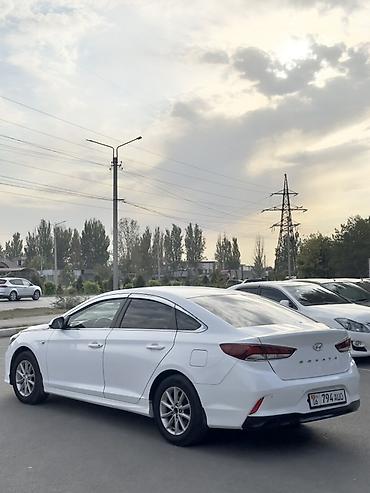 sonata dn: Hyundai Sonata: 2019 г., 2 л, Типтроник, Газ, Седан — 5