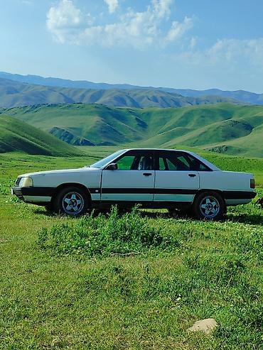 Audi: Audi 100: 1988 г., 2.3 л, Ручные, Бензин, Седан — 2