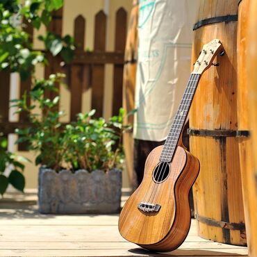 Gitare: Na prodaju ukulele sa srećnom detelinom! Veličina: 26 inča Prednja — 13