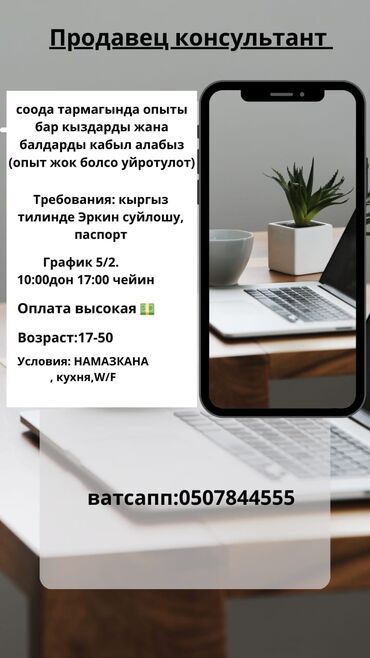 продавец сотовых аксессуаров: Сатуучу консультант. Цум